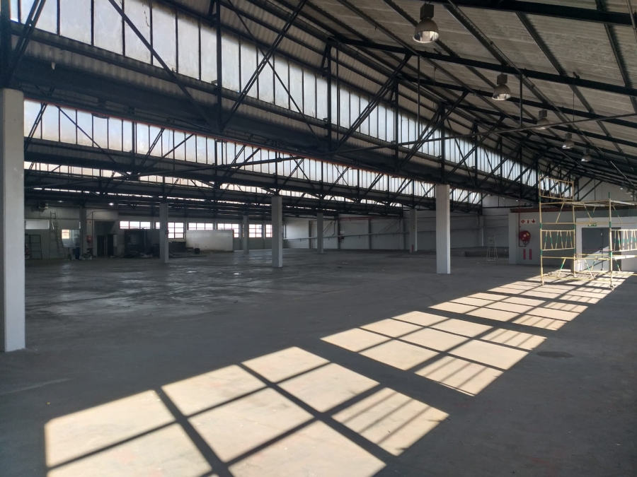 To Let Commercial Property for Rent in Paarden Eiland Western Cape